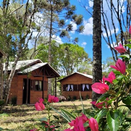 Cabanas Dos Pinheiros São Francisco de Paula Zewnętrze zdjęcie