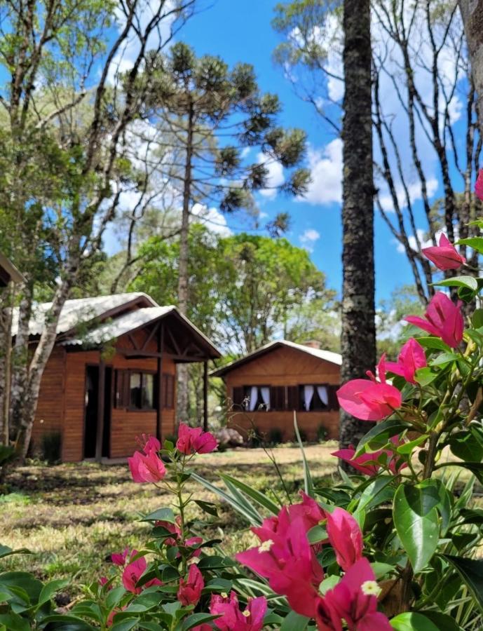 Cabanas Dos Pinheiros São Francisco de Paula Zewnętrze zdjęcie