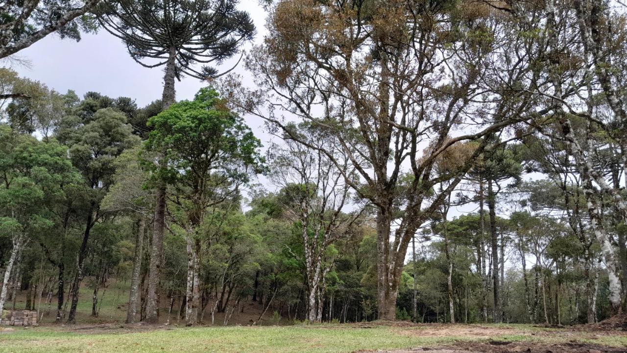 Cabanas Dos Pinheiros São Francisco de Paula Zewnętrze zdjęcie