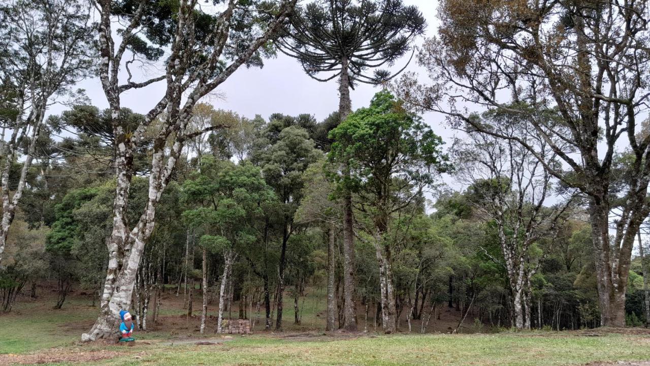 Cabanas Dos Pinheiros São Francisco de Paula Zewnętrze zdjęcie