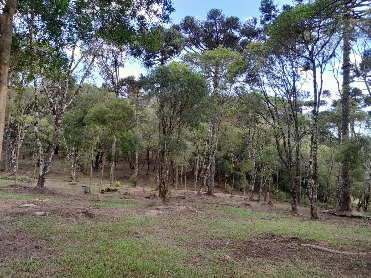 Cabanas Dos Pinheiros São Francisco de Paula Zewnętrze zdjęcie