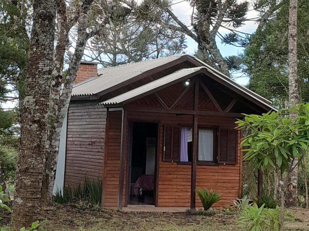 Cabanas Dos Pinheiros São Francisco de Paula Zewnętrze zdjęcie