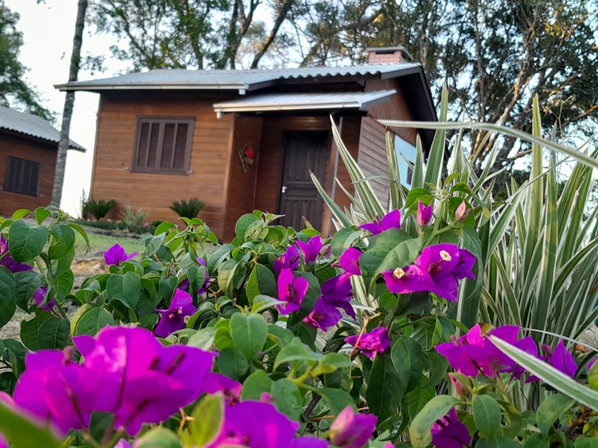 Cabanas Dos Pinheiros São Francisco de Paula Zewnętrze zdjęcie