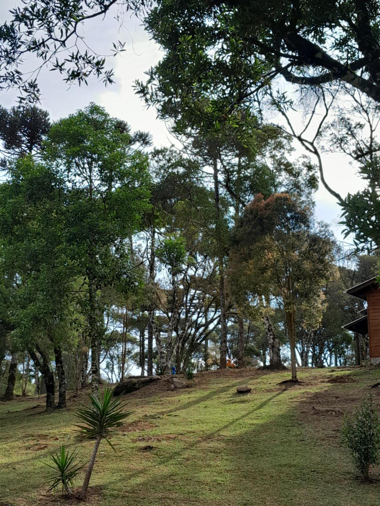 Cabanas Dos Pinheiros São Francisco de Paula Pokój zdjęcie