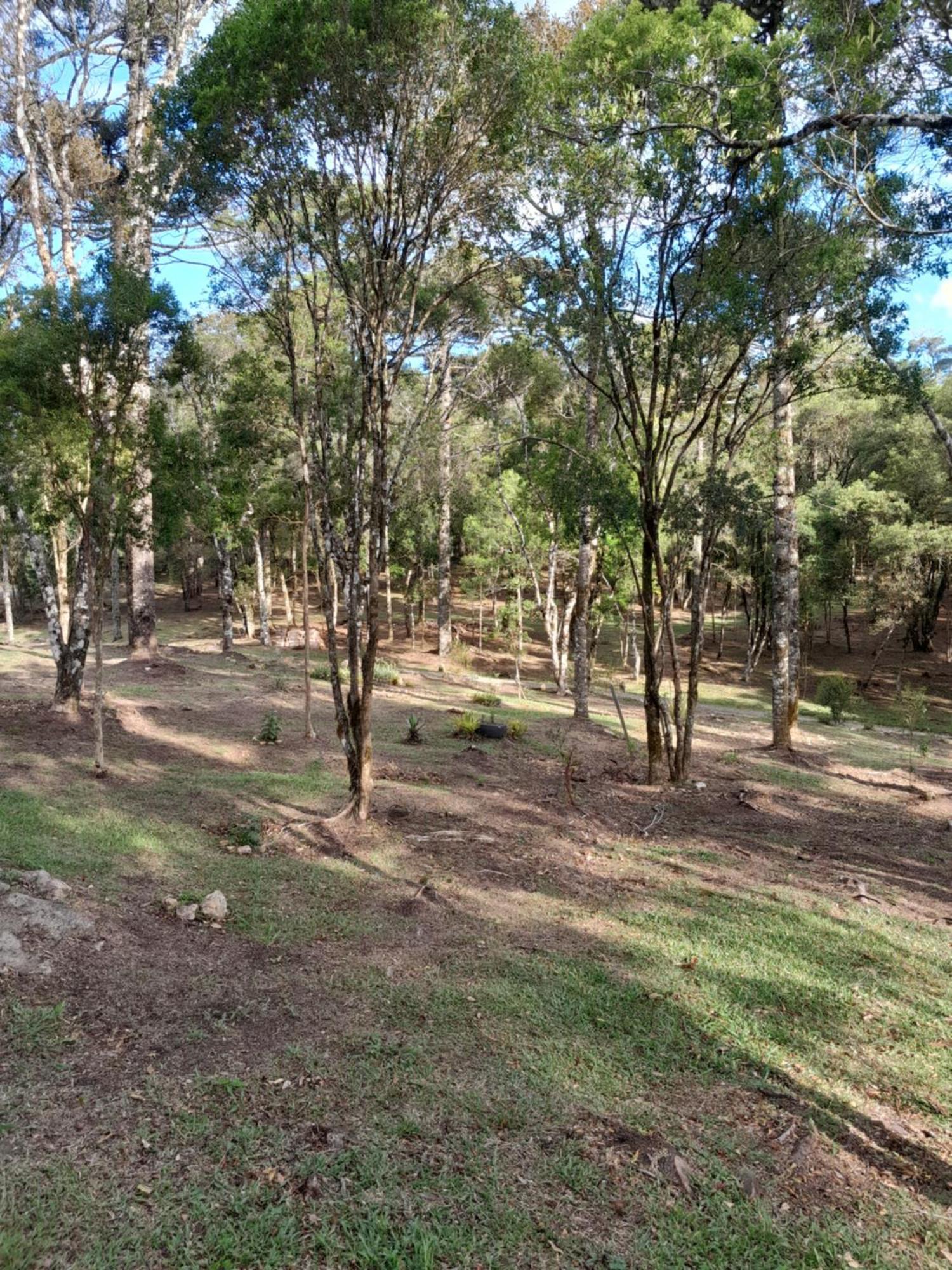 Cabanas Dos Pinheiros São Francisco de Paula Pokój zdjęcie