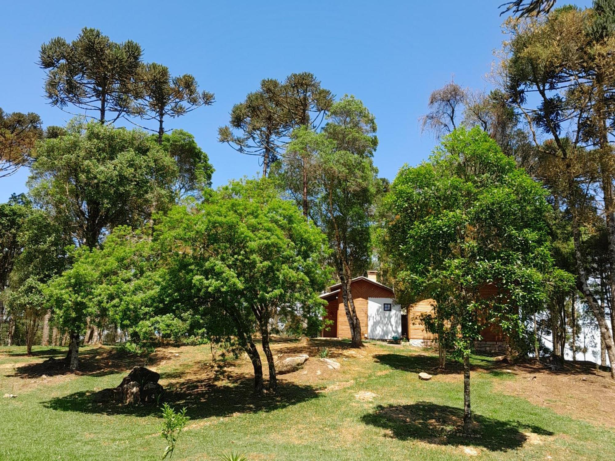 Cabanas Dos Pinheiros São Francisco de Paula Pokój zdjęcie