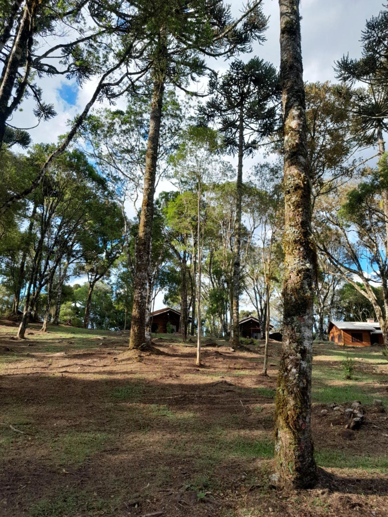 Cabanas Dos Pinheiros São Francisco de Paula Pokój zdjęcie