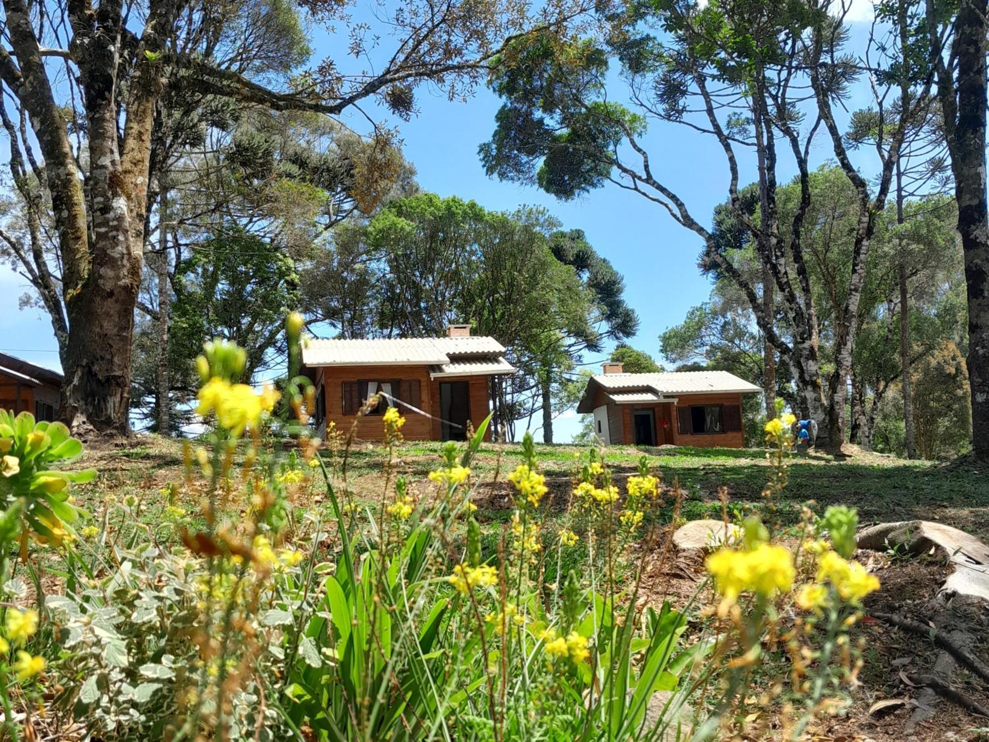 Cabanas Dos Pinheiros São Francisco de Paula Pokój zdjęcie