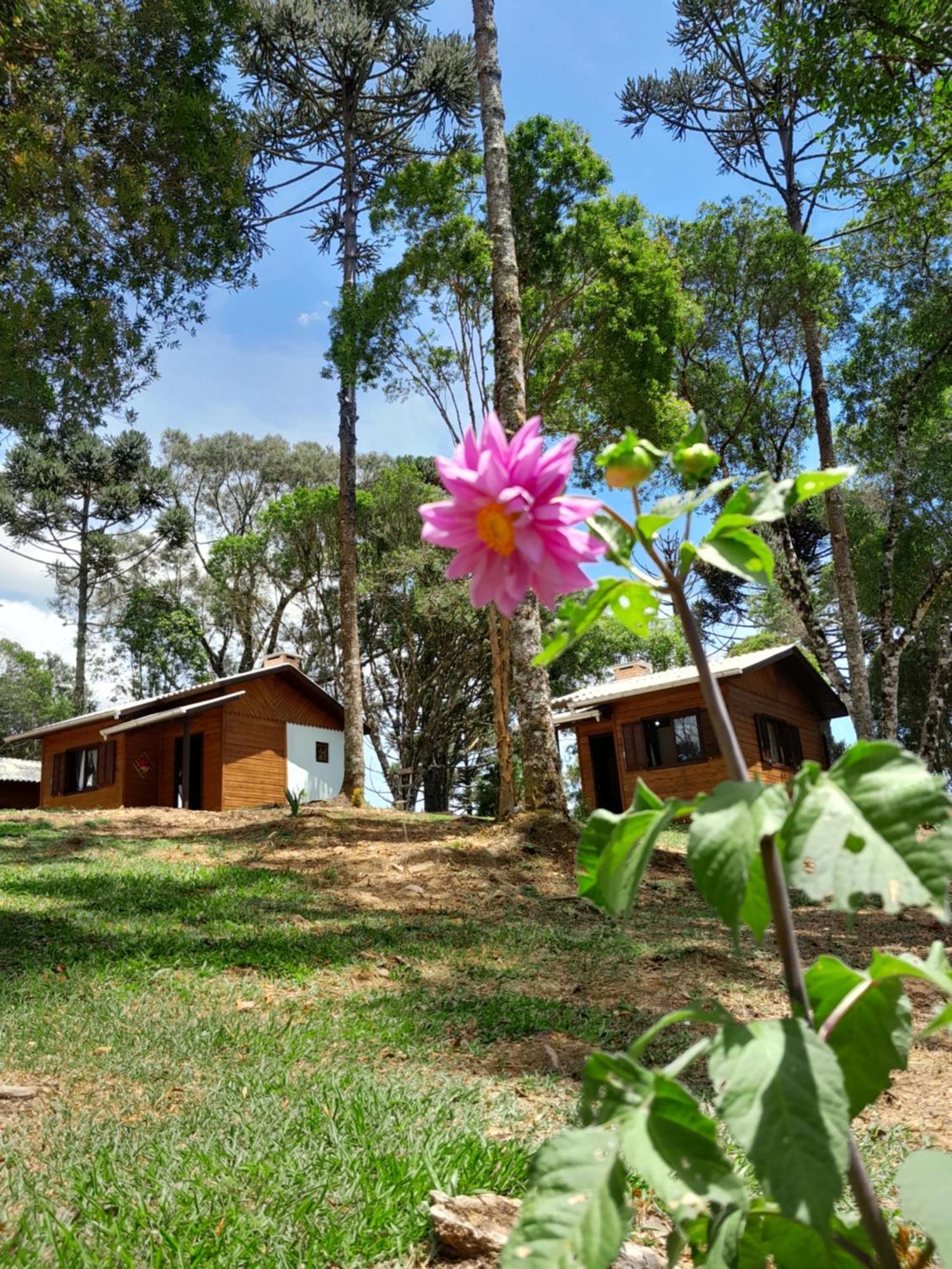 Cabanas Dos Pinheiros São Francisco de Paula Pokój zdjęcie